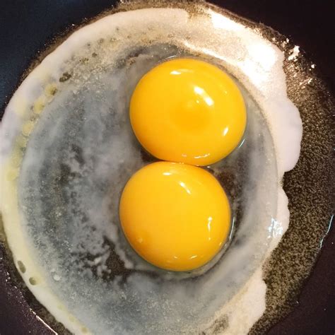 two yolks in one egg|why do chickens lay double yolk eggs.
